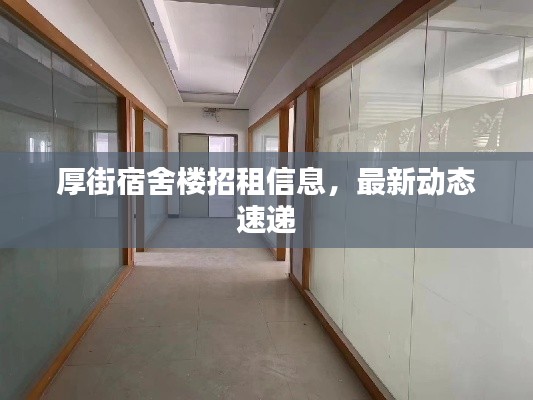 厚街宿舍樓招租信息，最新動態(tài)速遞