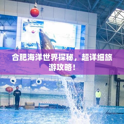 合肥海洋世界探秘，超詳細旅游攻略！
