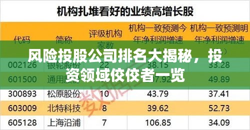 風(fēng)險(xiǎn)投股公司排名大揭秘，投資領(lǐng)域佼佼者一覽
