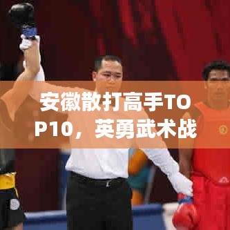安徽散打高手TOP10，英勇武術(shù)戰(zhàn)士榜單揭曉！