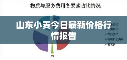 山東小麥今日最新價(jià)格行情報(bào)告