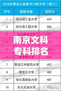 南京文科?？婆琶笆＝颐兀瑢W術(shù)明珠的探尋之旅