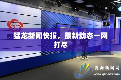 猛龍新聞快報，最新動態(tài)一網(wǎng)打盡