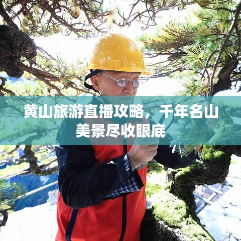 黃山旅游直播攻略，千年名山美景盡收眼底