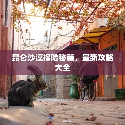 昆侖沙漠探險秘籍，最新攻略大全