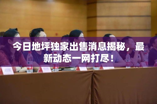 今日地坪獨(dú)家出售消息揭秘，最新動(dòng)態(tài)一網(wǎng)打盡！