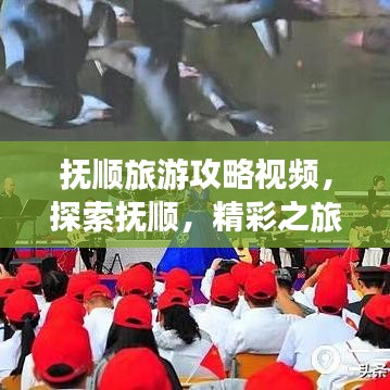 撫順旅游攻略視頻，探索撫順，精彩之旅不容錯(cuò)過(guò)