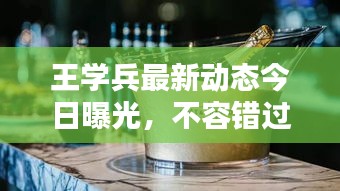 王學兵最新動態(tài)今日曝光，不容錯過！
