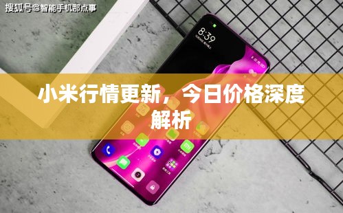 小米行情更新，今日價(jià)格深度解析