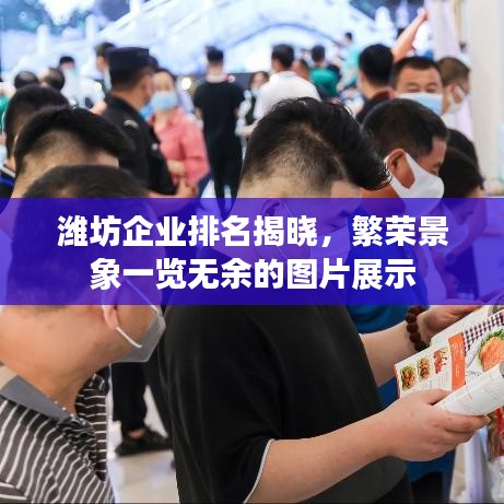 濰坊企業(yè)排名揭曉，繁榮景象一覽無(wú)余的圖片展示