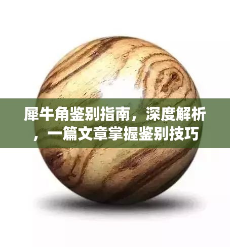 犀牛角鑒別指南，深度解析，一篇文章掌握鑒別技巧
