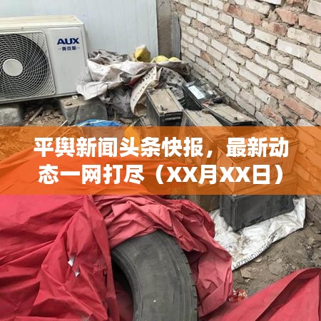 平輿新聞頭條快報，最新動態(tài)一網(wǎng)打盡（XX月XX日）