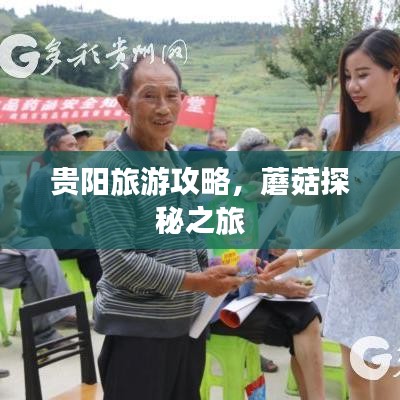貴陽旅游攻略，蘑菇探秘之旅