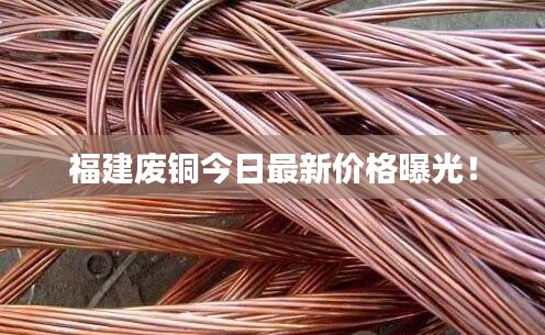 福建廢銅今日最新價(jià)格曝光！