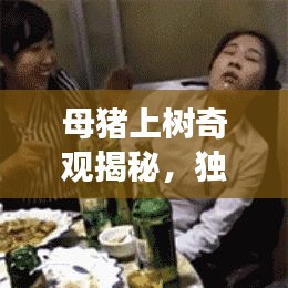 母豬上樹奇觀揭秘，獨家旅游攻略，帶你探秘獨特體驗！