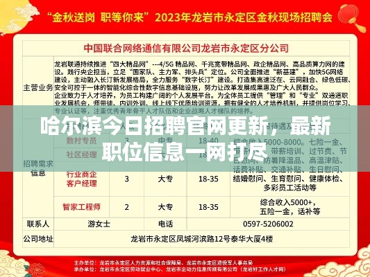 哈爾濱今日招聘官網(wǎng)更新，最新職位信息一網(wǎng)打盡