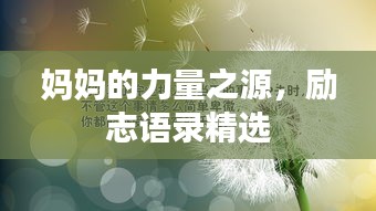 媽媽的力量之源，勵志語錄精選