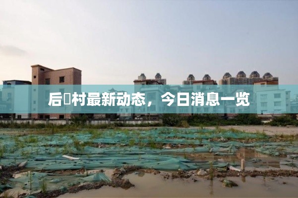 毛手毛腳 第3頁