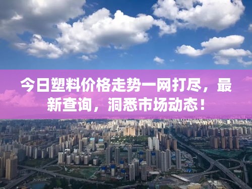 今日塑料價(jià)格走勢(shì)一網(wǎng)打盡，最新查詢，洞悉市場(chǎng)動(dòng)態(tài)！