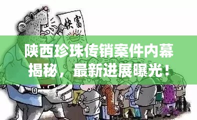 陜西珍珠傳銷案件內(nèi)幕揭秘，最新進(jìn)展曝光！