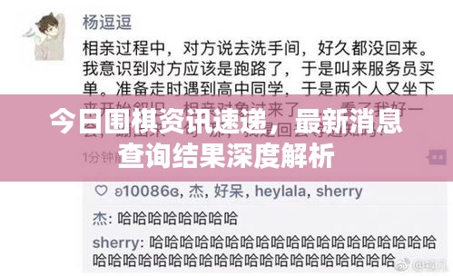 今日圍棋資訊速遞，最新消息查詢結(jié)果深度解析