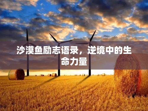 沙漠魚勵(lì)志語錄，逆境中的生命力量