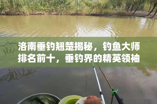 洛南垂釣翹楚揭秘，釣魚大師排名前十，垂釣界的精英領(lǐng)袖！
