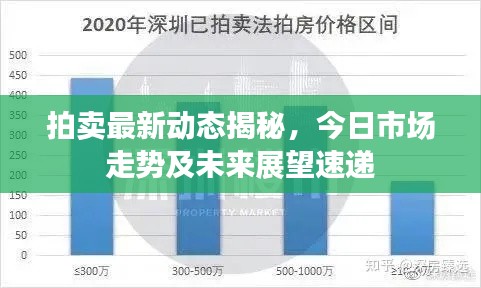 拍賣最新動(dòng)態(tài)揭秘，今日市場走勢及未來展望速遞