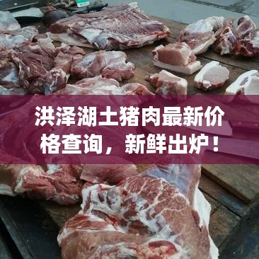 洪澤湖土豬肉最新價格查詢，新鮮出爐！