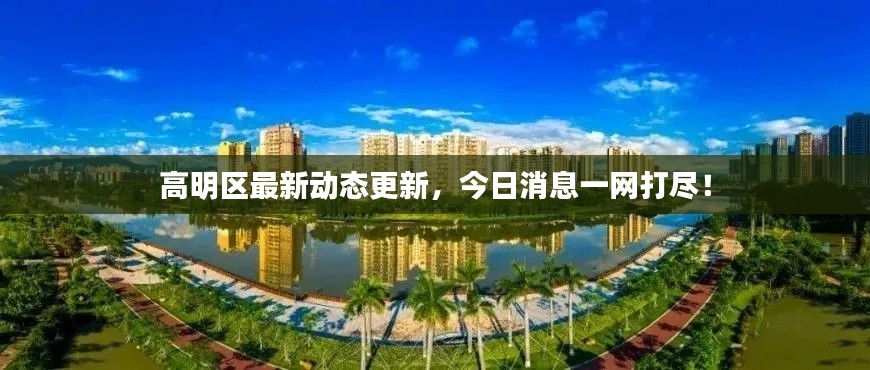 高明區(qū)最新動(dòng)態(tài)更新，今日消息一網(wǎng)打盡！