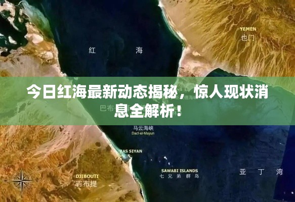 今日紅海最新動(dòng)態(tài)揭秘，驚人現(xiàn)狀消息全解析！