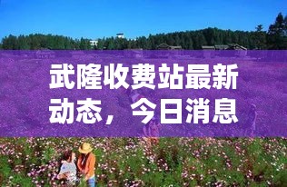 武隆收費站最新動態(tài)，今日消息全解析