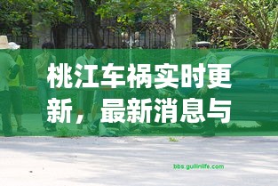 桃江車禍實(shí)時更新，最新消息與現(xiàn)場情況揭秘