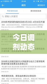 今日調(diào)劑動態(tài)速遞，最新消息全面解析