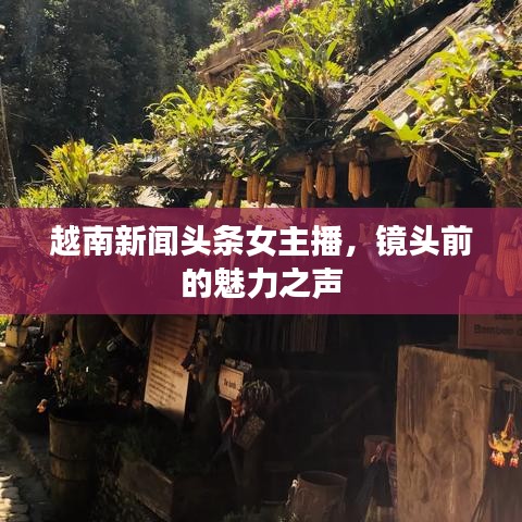 越南新聞頭條女主播，鏡頭前的魅力之聲