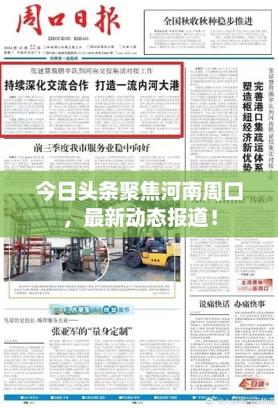 今日頭條聚焦河南周口，最新動態(tài)報(bào)道！