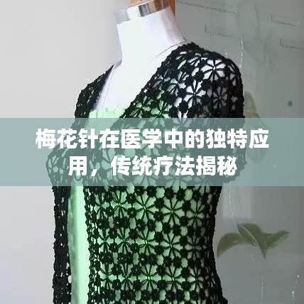 梅花針在醫(yī)學(xué)中的獨特應(yīng)用，傳統(tǒng)療法揭秘