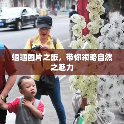 蟈蟈圖片之旅，帶你領(lǐng)略自然之魅力