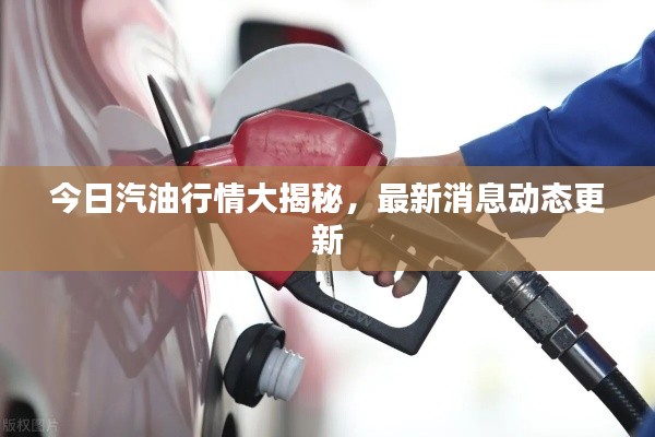 今日汽油行情大揭秘，最新消息動(dòng)態(tài)更新