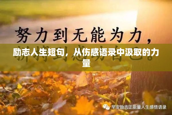 勵(lì)志人生短句，從傷感語錄中汲取的力量