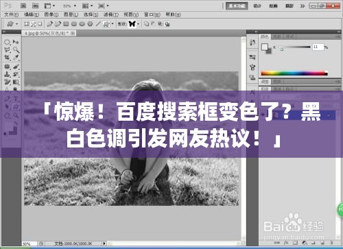 「驚爆！百度搜索框變色了？黑白色調(diào)引發(fā)網(wǎng)友熱議！」