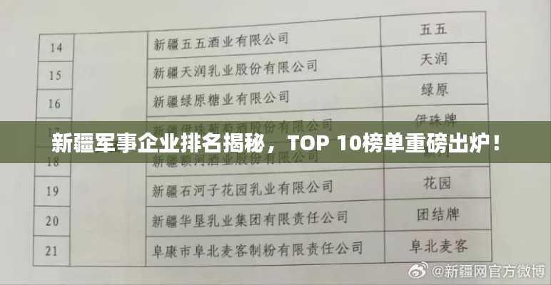 新疆軍事企業(yè)排名揭秘，TOP 10榜單重磅出爐！