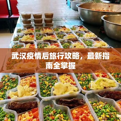 囊螢映雪 第4頁(yè)