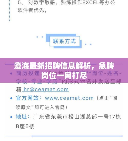 澄海最新招聘信息解析，急聘崗位一網(wǎng)打盡