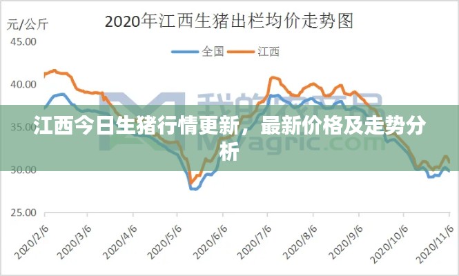 江西今日生豬行情更新，最新價格及走勢分析