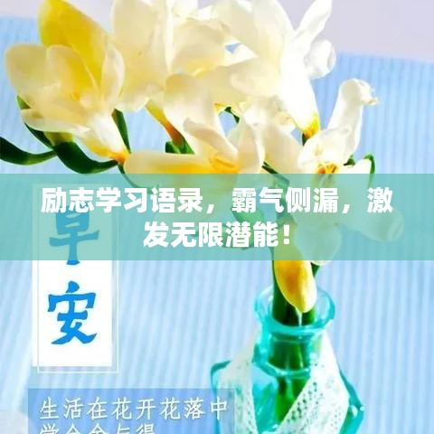 勵(lì)志學(xué)習(xí)語錄，霸氣側(cè)漏，激發(fā)無限潛能！