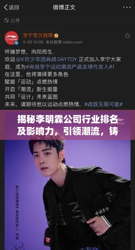 揭秘李明霖公司行業(yè)排名及影響力，引領(lǐng)潮流，鑄就傳奇！