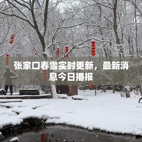 張家口春雪實(shí)時更新，最新消息今日播報
