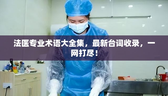 法醫(yī)專業(yè)術(shù)語大全集，最新臺詞收錄，一網(wǎng)打盡！