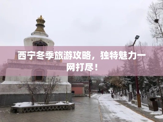 狗尾續(xù)貂 第3頁